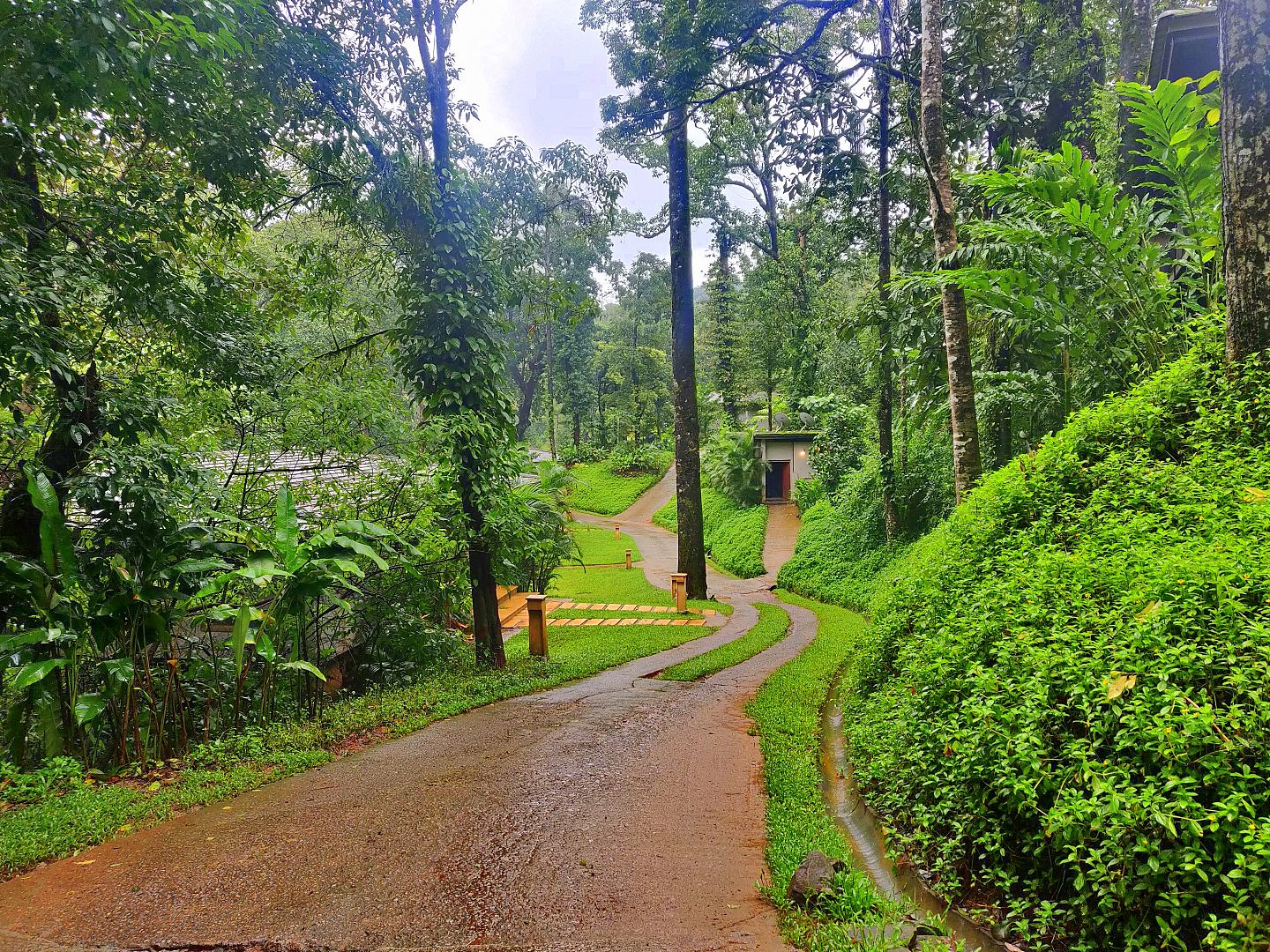 Ayatana Coorg | Currylines – Caroline's